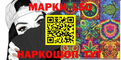 дмт Краснодар