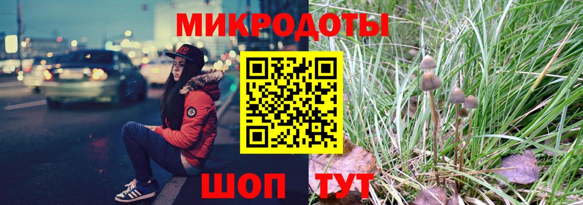 Галлюциногенные грибы Cubensis  Псилоцибиновые грибы мицелий  Вход с VPN  Вязьма 